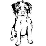 Dibujo para colorear Dibujo De Perrito Peludo Con Pelo Blanco Y Negro Para Pintar Y Colorear