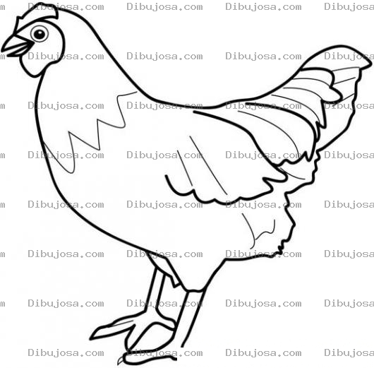 Dibujo para colorear Colorear Gallina