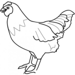 Dibujo para colorear Colorear Gallina