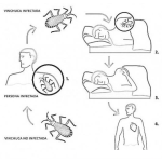 Dibujo para colorear Chagas.com Maldechagas Dibujo Del Mal De Chagas Para Pintar Y Colorear Enfermedad De Chagas Conocida Como Tripanosomiasis Americana