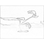 Dibujo para colorear Correcaminos Dibujo Del Corre Caminos Corriendo Para Pintar Y Colorear