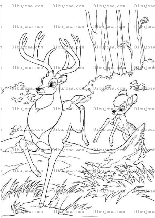 Dibujo para colorear Bambi y el alce
