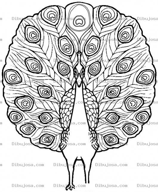 Dibujo para colorear Colorear un Pavo Real