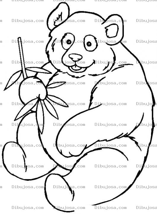 Dibujo para colorear Colorear un Osito