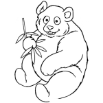 Dibujo para colorear Colorear un Osito