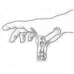 Dibujo para colorear Fratura Dedo Pulgar Dibujo De Quebradura Del Dedo Gordo Pulgar Para Pintar Y Colorear