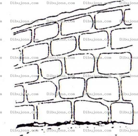 Dibujo para colorear Pared De Blocks Con Cemento Sin Cernido Para Pintar Y Colorear