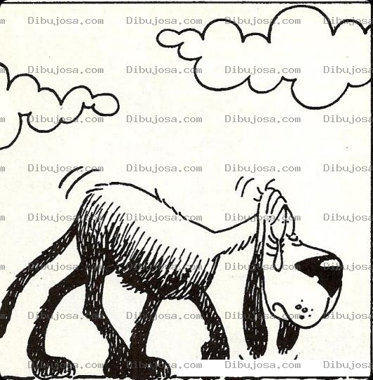 Dibujo para colorear Perro De La Calle Dibujo De Perrito Triste Llorando Para Pintar Y Colorear Chucho Vagabundo