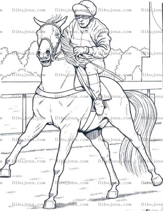 Dibujo para colorear Dibujo De Equitacion Para Pintar Y Colorear