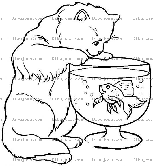Dibujo para colorear Colorear Gato con Pescadito