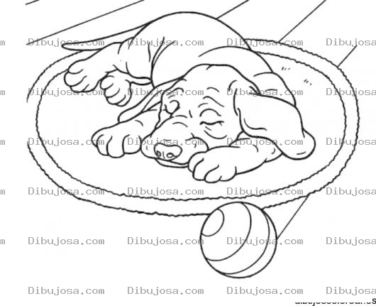 Dibujo para colorear Dibujo De Perrito Durmiendo En Una Alfombra Para Pintar Y Colorear Cachorro Durmiendo
