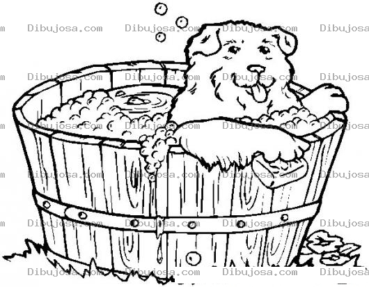 Dibujo para colorear Colorear perrito bananose