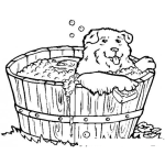 Dibujo para colorear Colorear perrito bananose