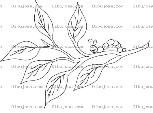 Dibujo para colorear Dibujo De Gusanito En Una Rama Para Pintar Y Colorear