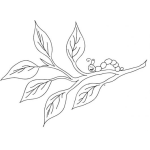 Dibujo para colorear Dibujo De Gusanito En Una Rama Para Pintar Y Colorear
