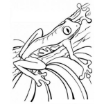 Dibujo para colorear Rana De Costarica Para Pintar Y Colorear A Una Rana Flaca Y Venenosa De Costa Rica