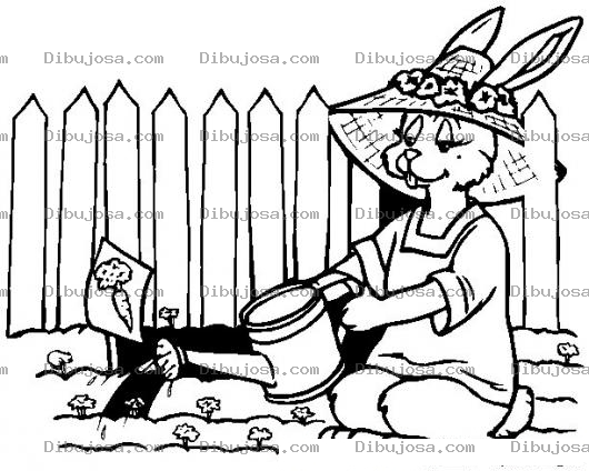Dibujo para colorear Colorear conejita regando zanahorias