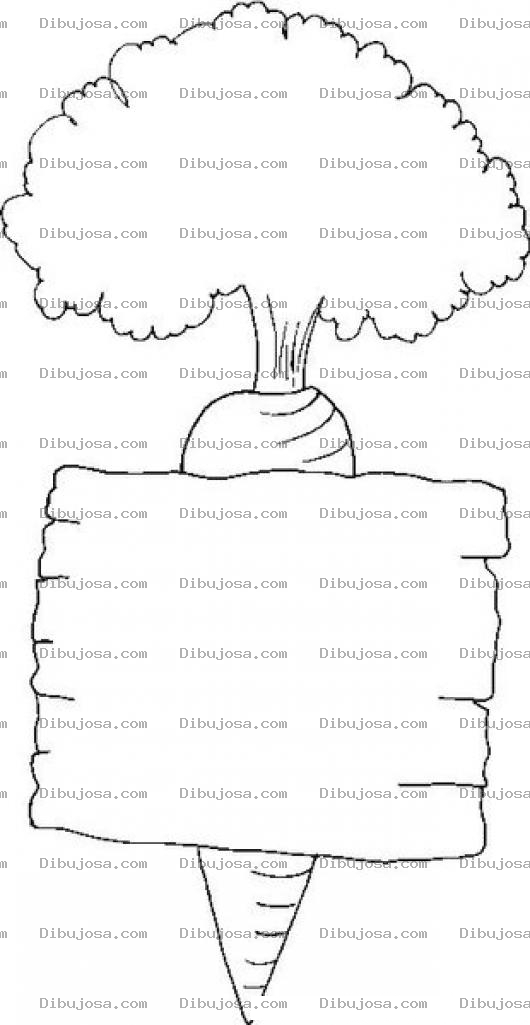 Dibujo para colorear Dibujo De Zanahoria Con Rotulo En Blanco De Madera Para Pintar Y Colorear
