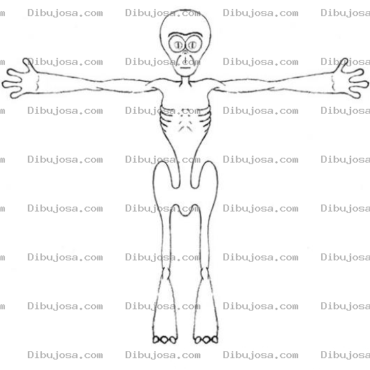 Dibujo para colorear Esqueleto De Mono Para Pintar Y Colorear Dibujo De Mico Desnutrido