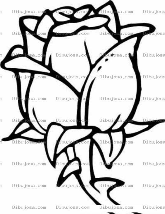 Dibujo para colorear Colorear capullo de rosa