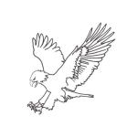 Dibujo para colorear Dibujo De Aguila Con Las Garras Extendidas Listas Para Cazar