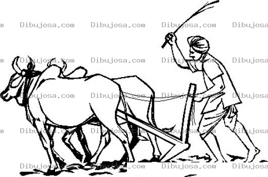 Dibujo para colorear Dibujo De Campesino Arando El Suelo Con Un Par De Bueyes Para Pintar Y Colorear