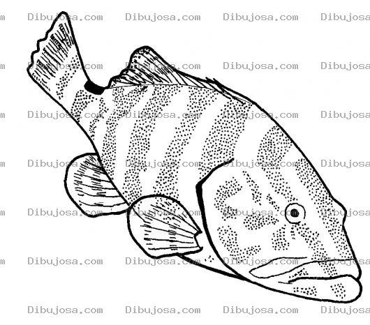 Dibujo para colorear Dibujo De Pescado Feo Para Pintar Y Colorear