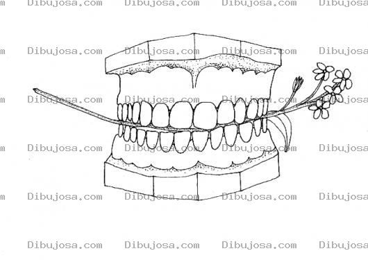 Dibujo para colorear Dibujo De Una Dentadura Mordiendo Floresitas Para Pintar Y Colorear