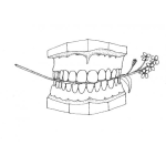 Dibujo para colorear Dibujo De Una Dentadura Mordiendo Floresitas Para Pintar Y Colorear