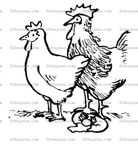 Dibujo para colorear Dibujo De Gallina Y Gallo Con Un Huevo Quebrado Para Pintar Y Colorear