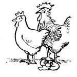 Dibujo para colorear Dibujo De Gallina Y Gallo Con Un Huevo Quebrado Para Pintar Y Colorear