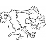 Dibujo para colorear Ardilla Voladora Para Pintar Y Colorear