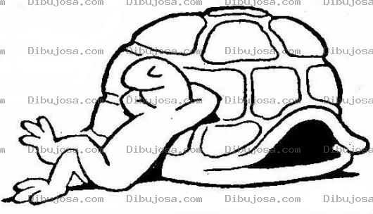 Dibujo para colorear Tortuga Sin Caparazon Dibujo De Tortuga Fuera De Su Caparazon Bronceandose Para Pintar Y Colorear Cuerpo De Tortuga
