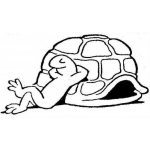 Dibujo para colorear Tortuga Sin Caparazon Dibujo De Tortuga Fuera De Su Caparazon Bronceandose Para Pintar Y Colorear Cuerpo De Tortuga