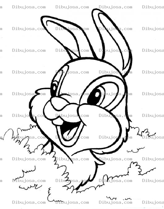 Dibujo para colorear Conejo Entre Matorrales Para Pintar Y Colorear