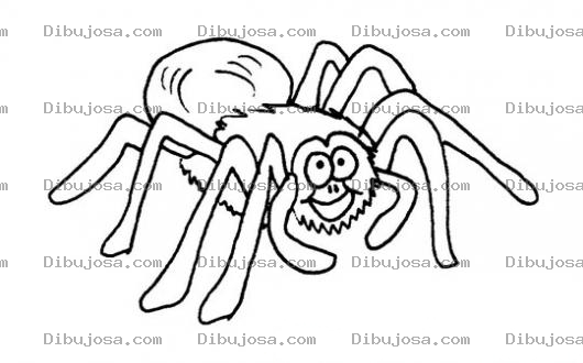 Dibujo para colorear Dibujo De Tarantula Para Pintar Y Colorear