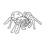 Dibujo para colorear Dibujo De Tarantula Para Pintar Y Colorear