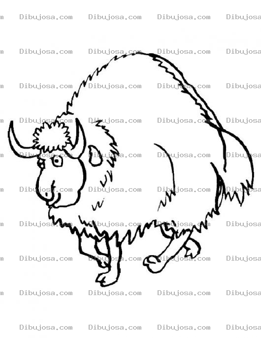 Dibujo para colorear Bufalo Gordo Para Pintar Y Colorear Dibujo De Bufalon