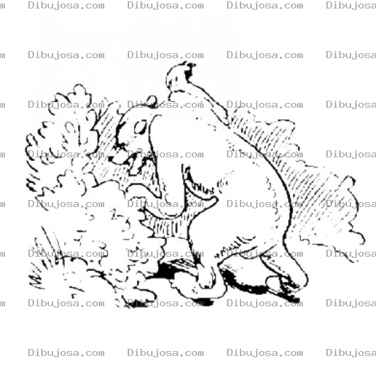 Dibujo para colorear Oso En La Maleza Dibujo De Oso Buscando Entre Los Arbustos Para Pintar Y Colorear