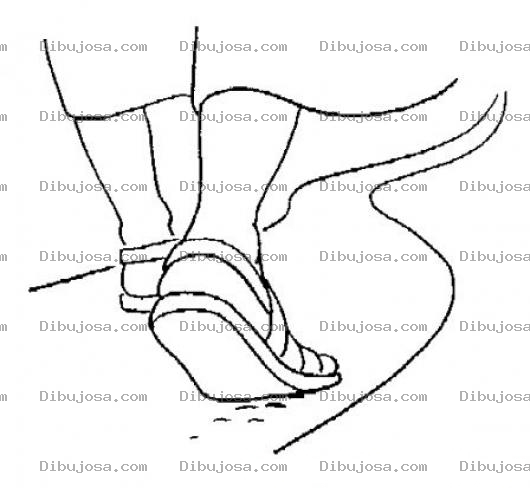 Dibujo para colorear Dibujo De Pasos En El Camino Para Pintar Y Colorear