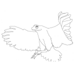 Dibujo para colorear Rana Con Alas Dibujo De Rana Voladora Con Alas Y Plumas Ranapaloma Para Pintar Y Colorear Sapo Volador