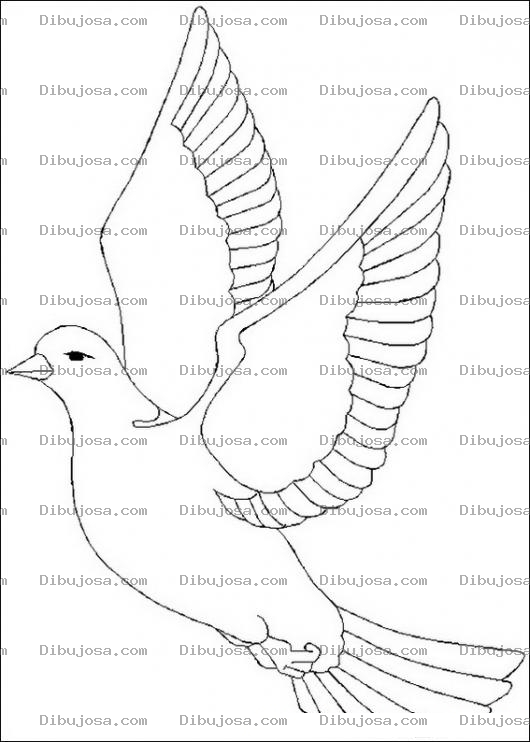 Dibujo para colorear Paloma volando