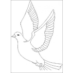 Dibujo para colorear Paloma volando