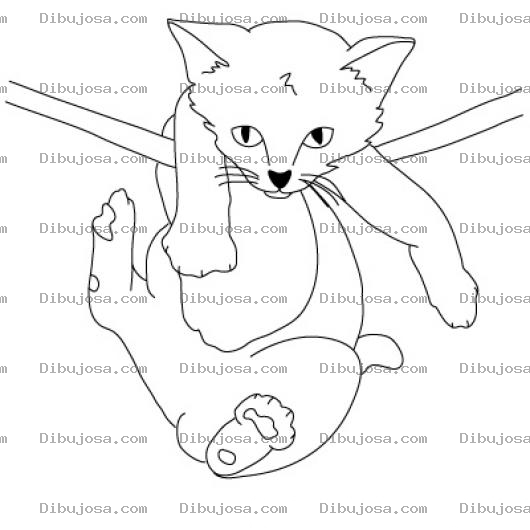 Dibujo para colorear Dibujo De Gatito Colgando De Un Lazo Para Pintar Y Colorear
