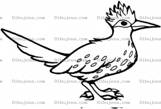 Dibujo para colorear Pajaro Con Puntos Dibujo De Una Ave Con Manchas En El Pecho Para Pintar Y Colorear