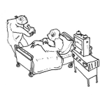 Dibujo para colorear Dibujo De Hamster Enfermo Y Hamster Enfermero Para Pintar Y Colorear