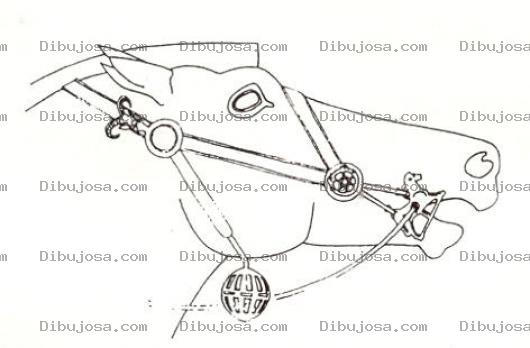 Dibujo para colorear Freno De Caballo Para Pintar Y Colorear