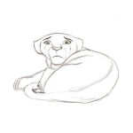 Dibujo para colorear Dibujo De Leona Triste Para Pintar Y Colorear