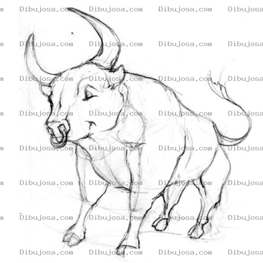 Dibujo para colorear Dibujo De Toro Bravo Para Pintar Y Colorear