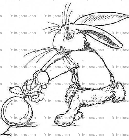 Dibujo para colorear Dibujo De Conejo Arrancando Un Rabano De La Tierra Para Pintar Y Colorear